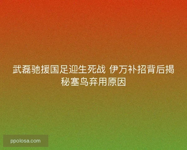 武磊驰援国足迎生死战 伊万补招背后揭秘塞鸟弃用原因
