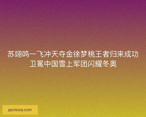 苏翊鸣一飞冲天夺金徐梦桃王者归来成功卫冕中国雪上军团闪耀冬奥