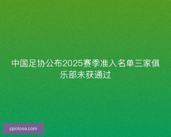中国足协公布2025赛季准入名单三家俱乐部未获通过